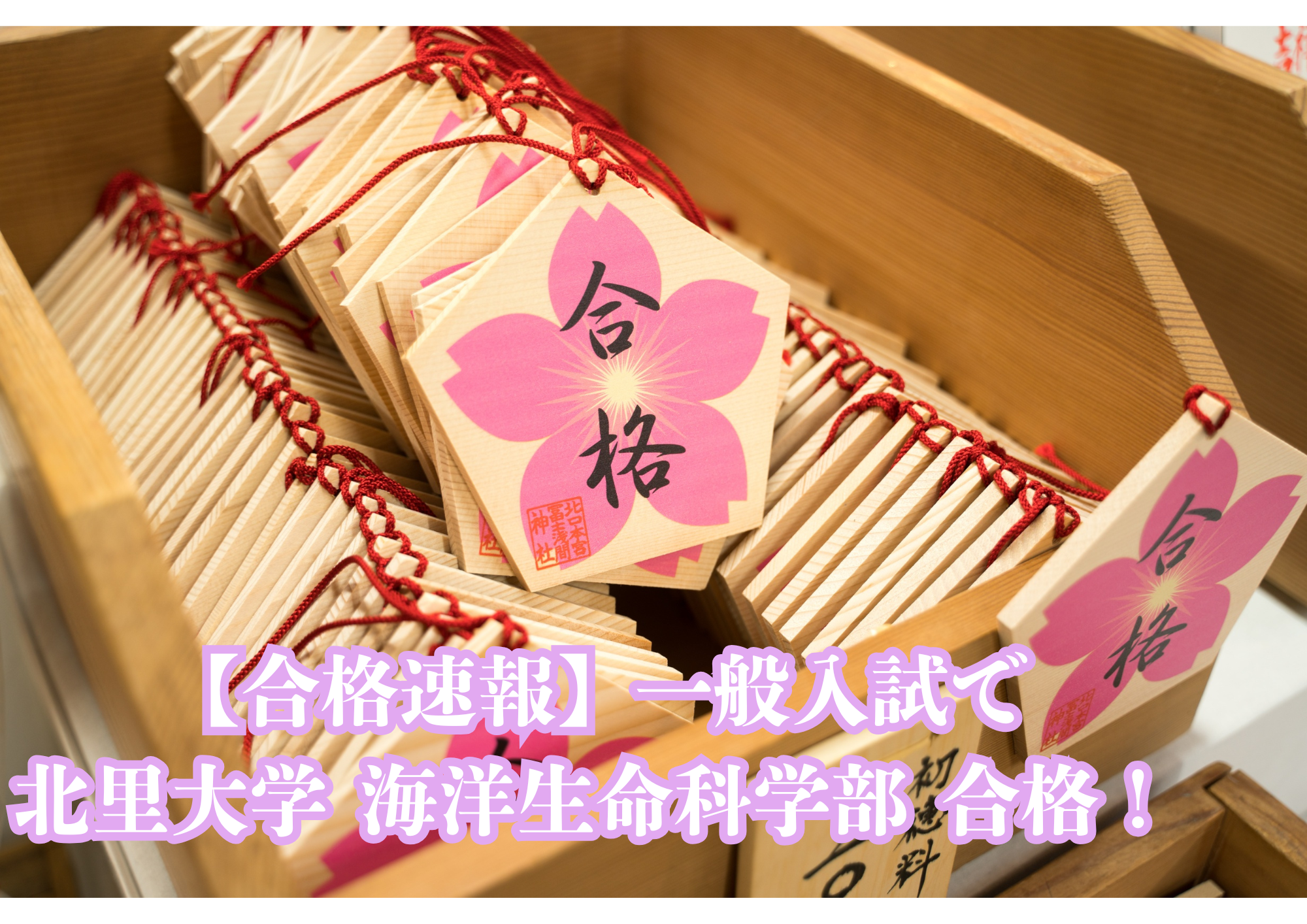 【合格速報】一般入試で北里大学 海洋生命科学部 合格！