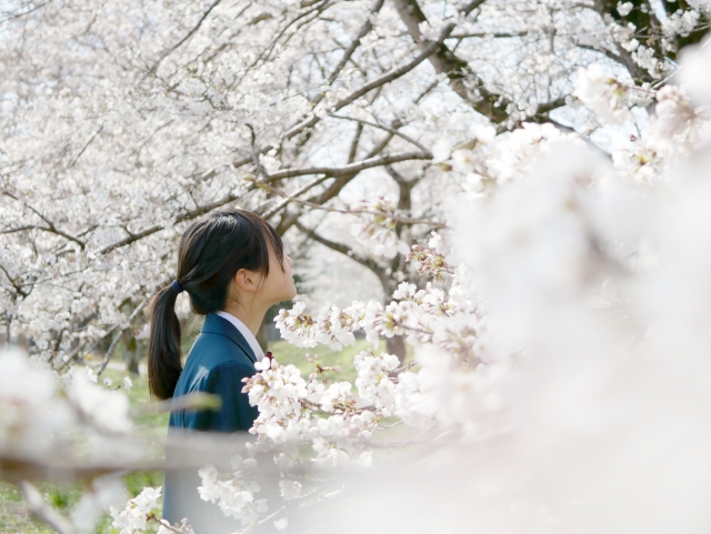 中学校の春に向けた定期テスト対策
