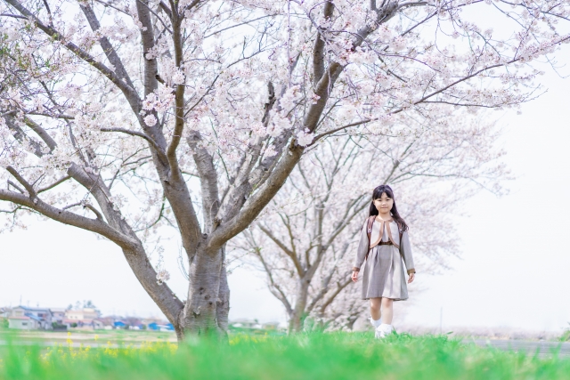 新学年の授業、ついていけるか不安…  〜小学生の保護者様へ〜