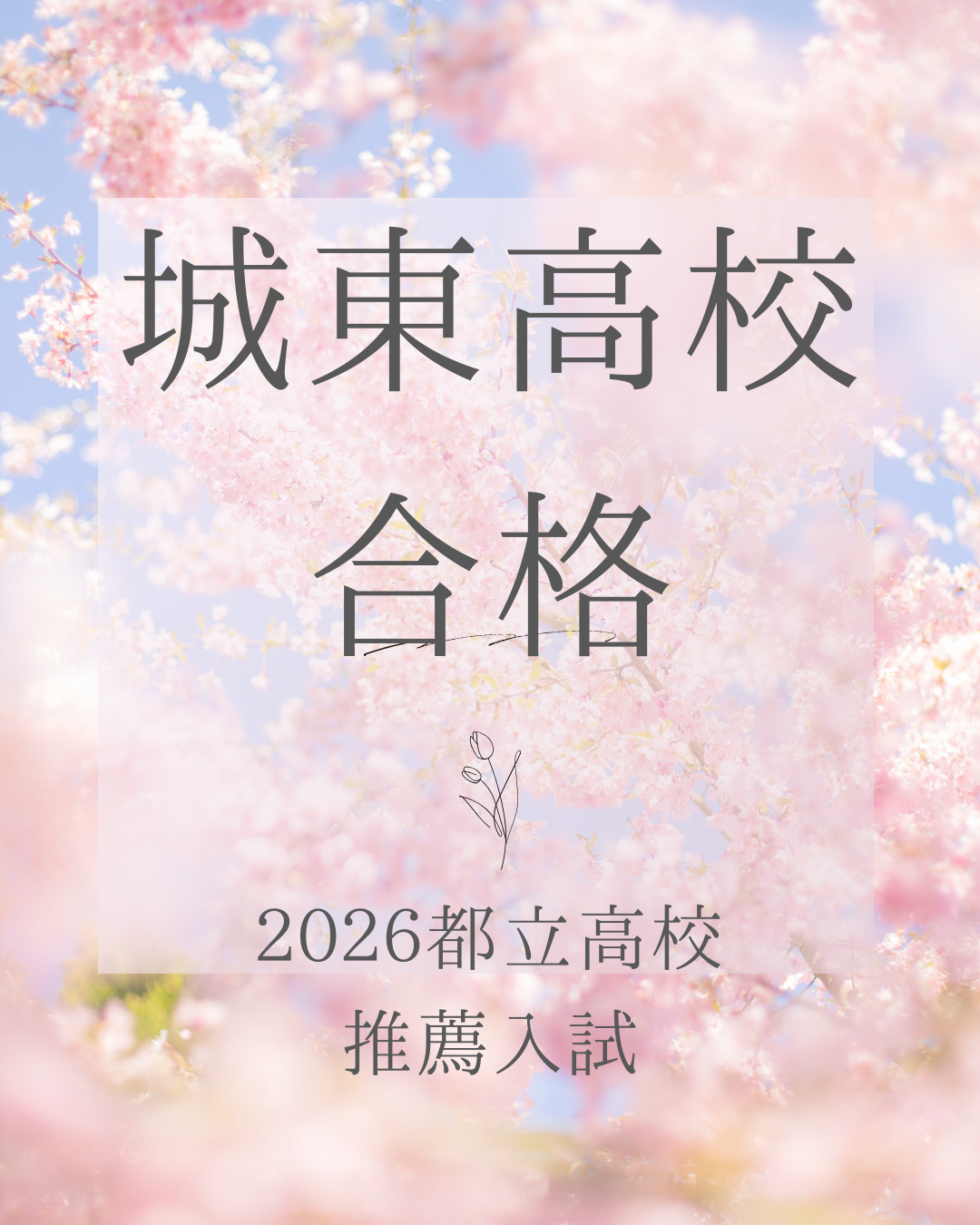 「このままで大丈夫かな…」から始まった、城東高校合格までの2年半