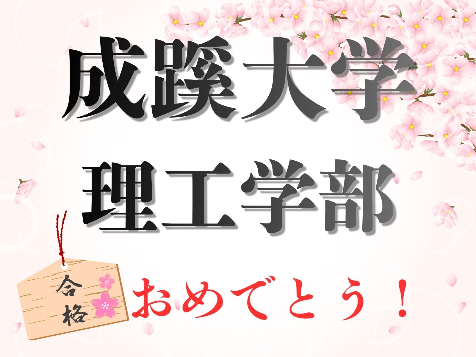 成蹊大学　理工学部　合格！!