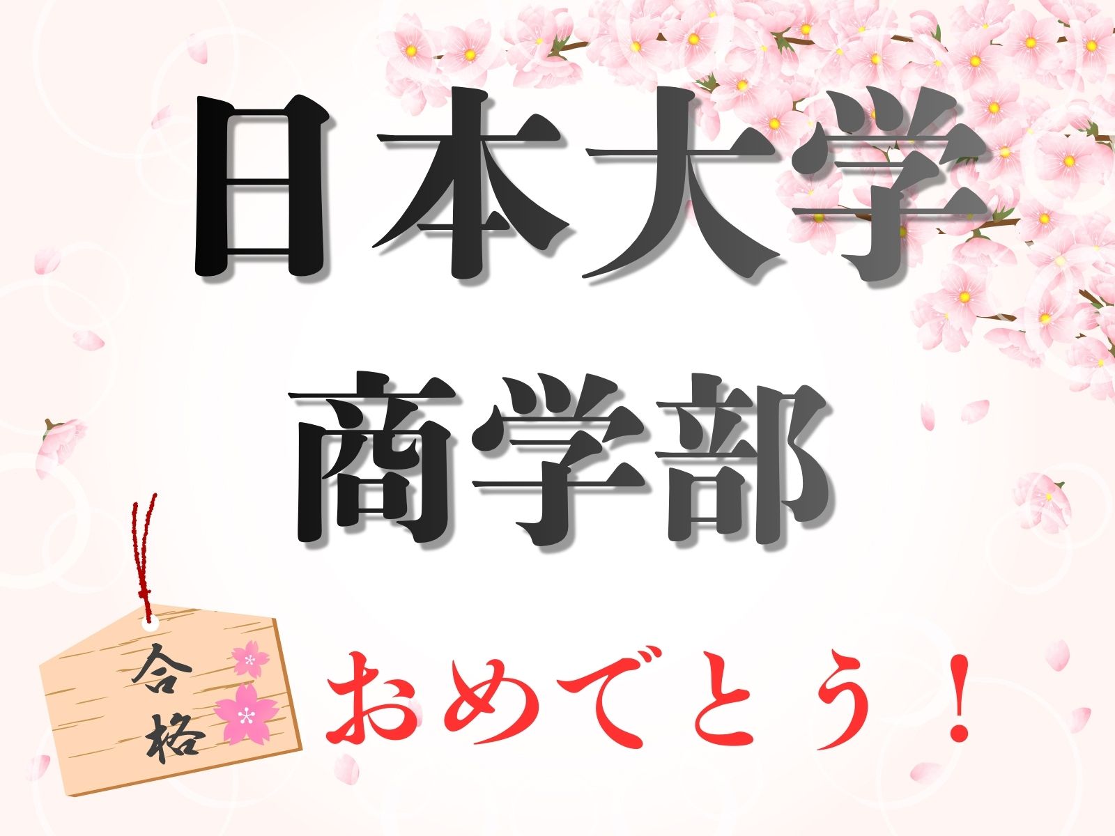 日本大学　商学部　合格！