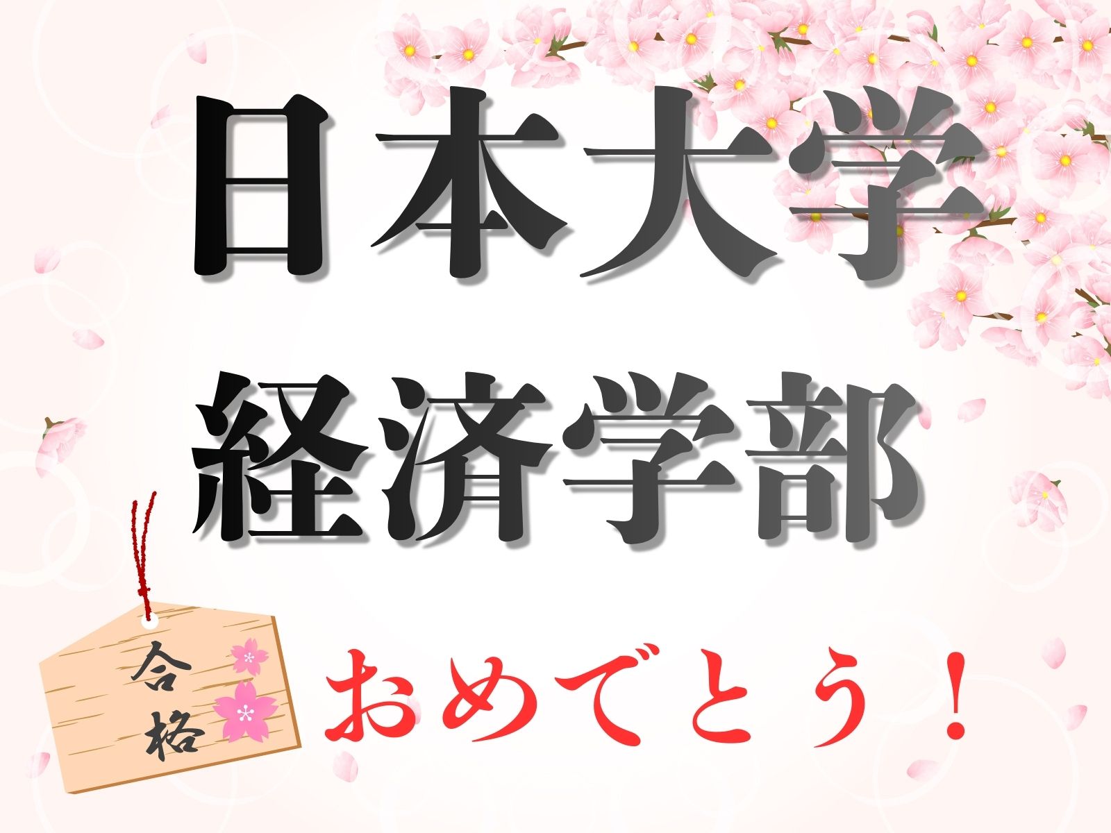 日本大学　経済学部　合格！