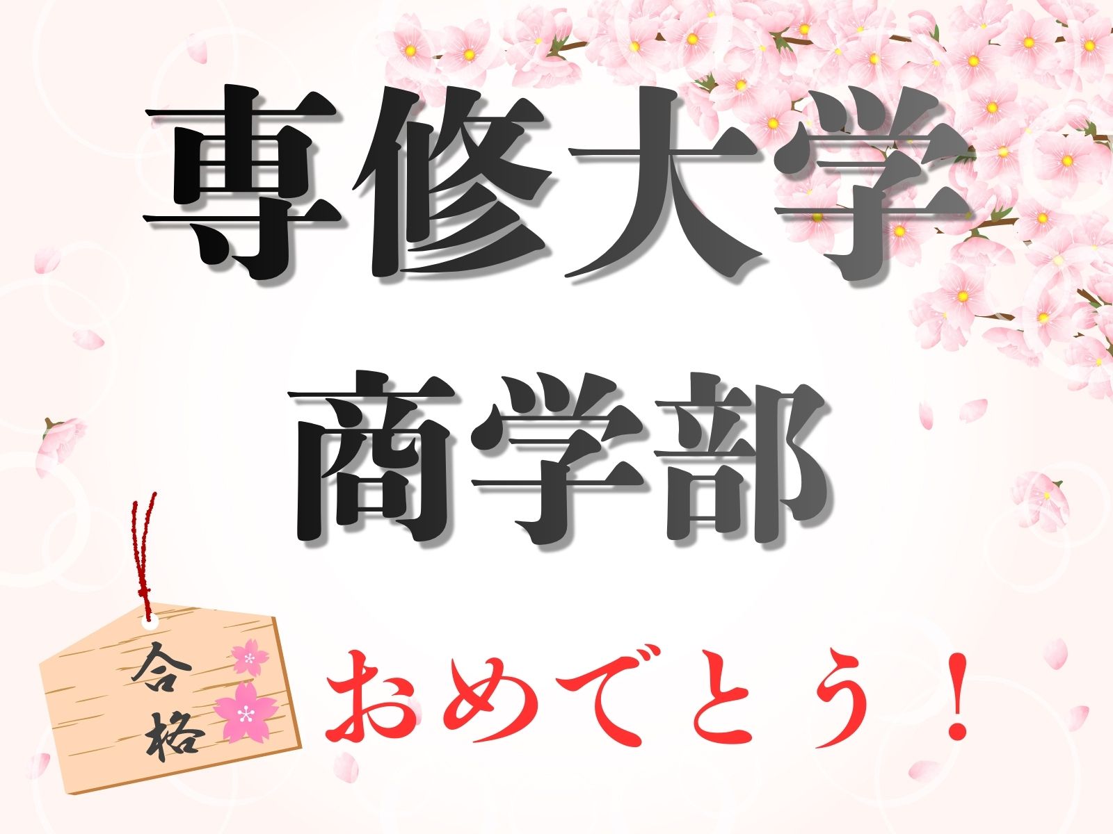 専修大学 理工学部　合格！