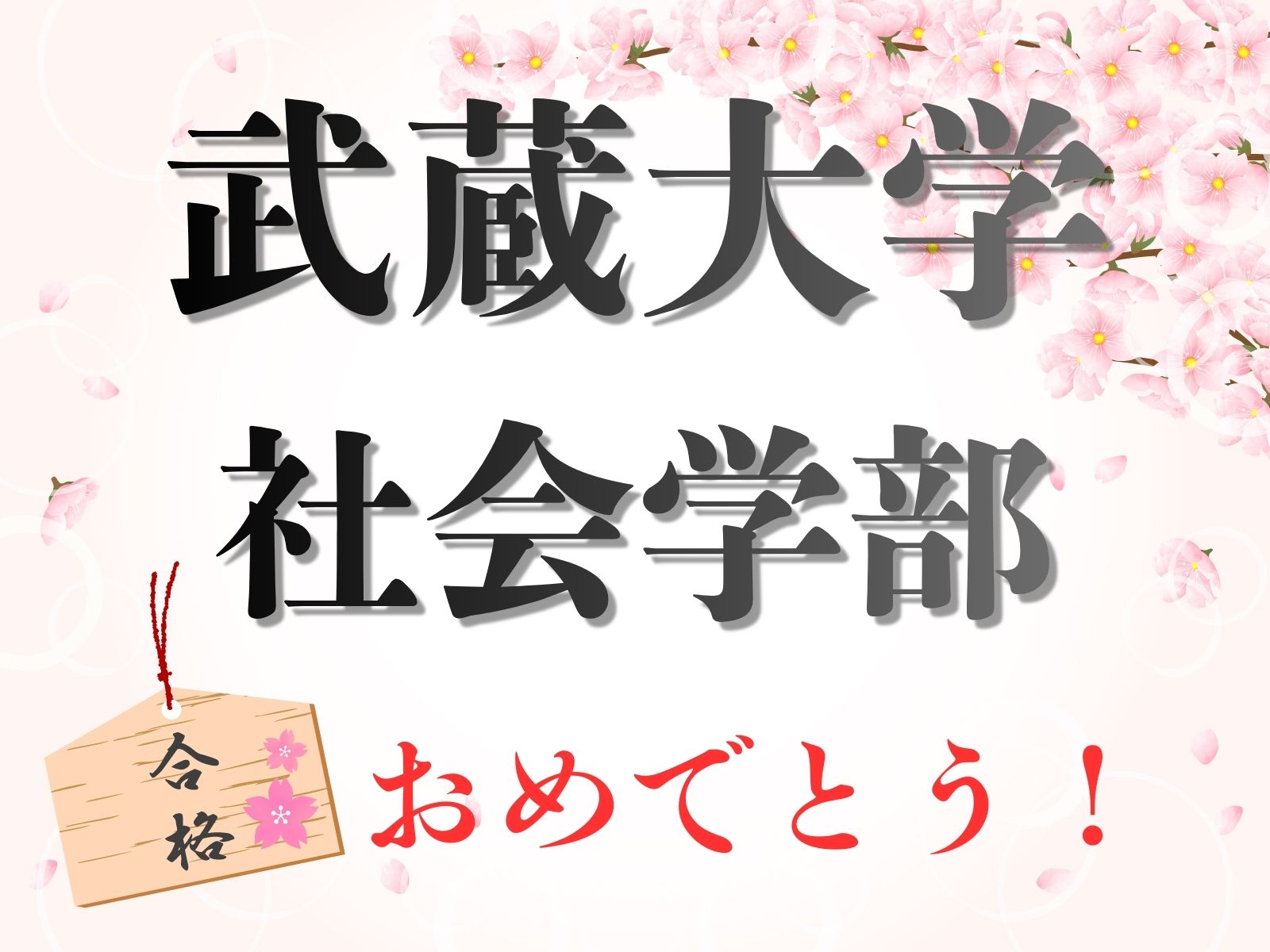 武蔵大学 社会学部　合格！