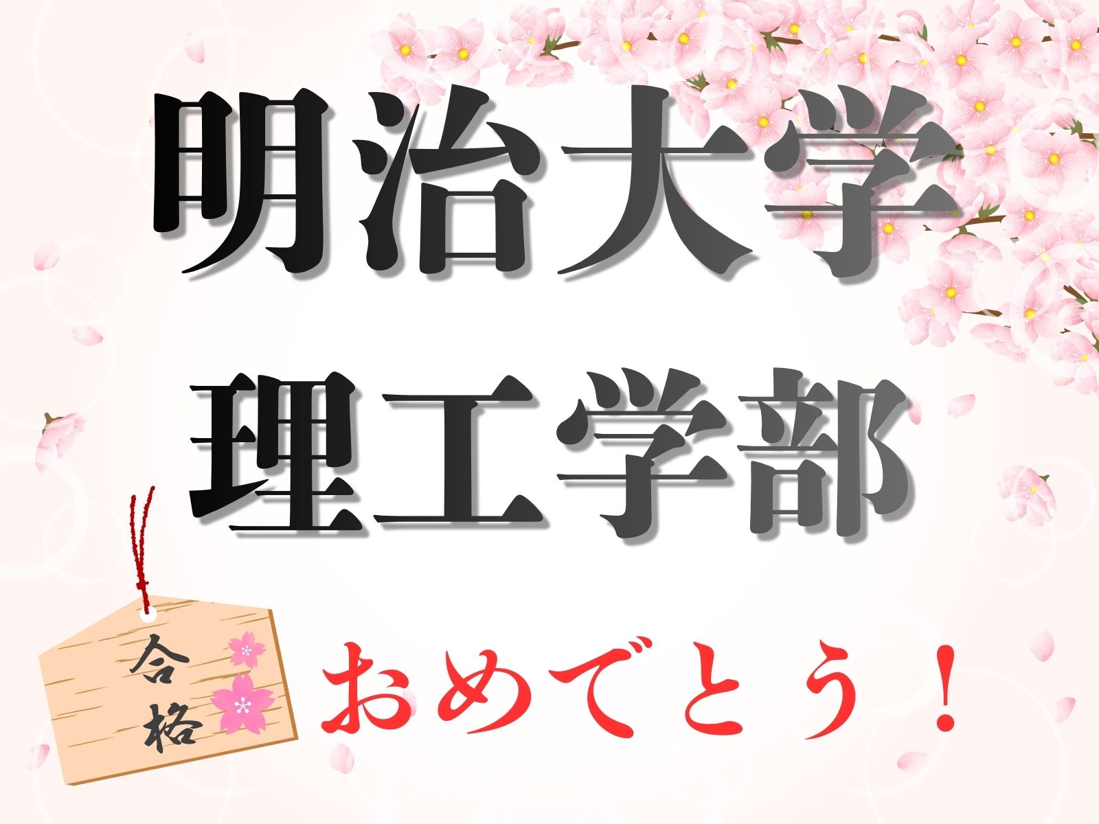 明治大学 理工学部　合格！
