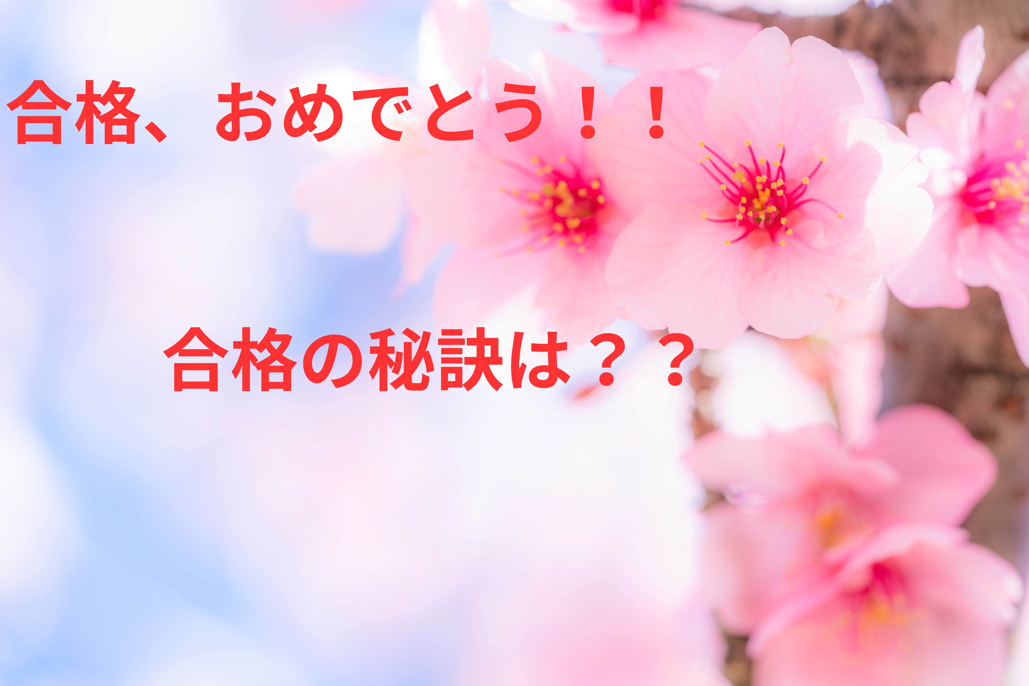 合格速報！合格の秘訣とは！