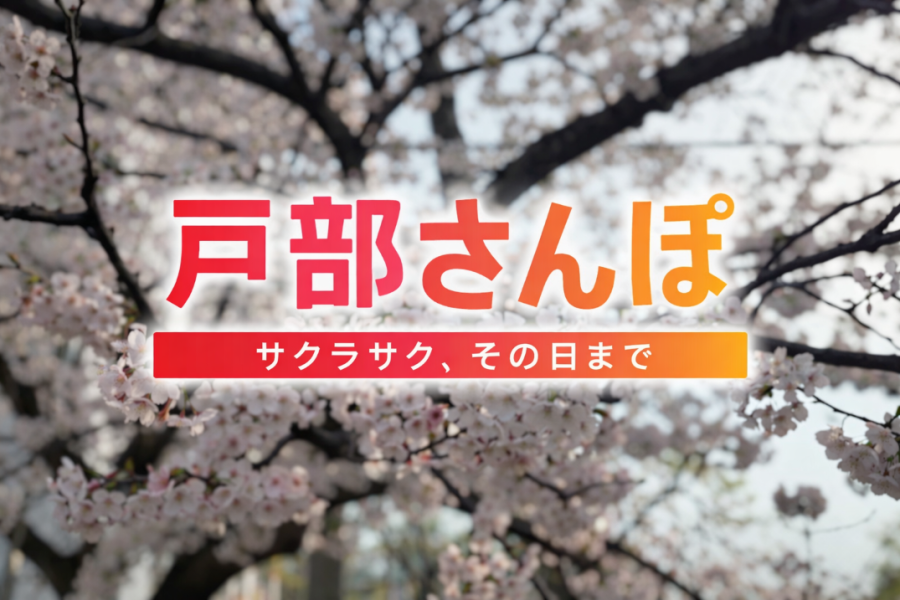 【不定期連載】戸部さんぽ　～サクラサク、その日まで　