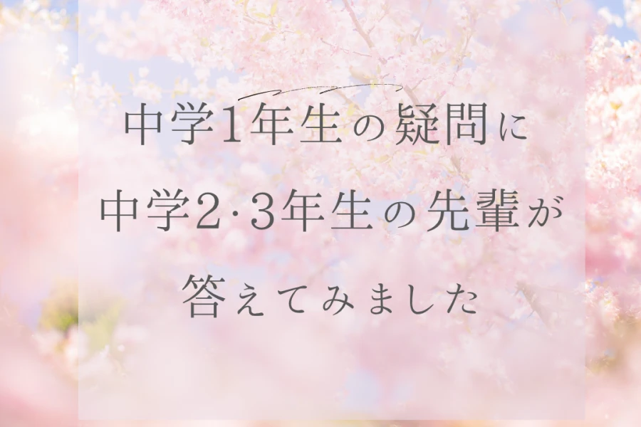 中学1年生からの質問！先輩、教えて下さい！！