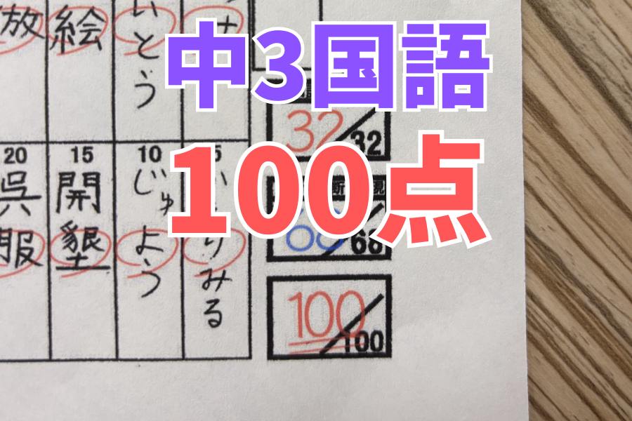 【中原中3年】国語100点満点！