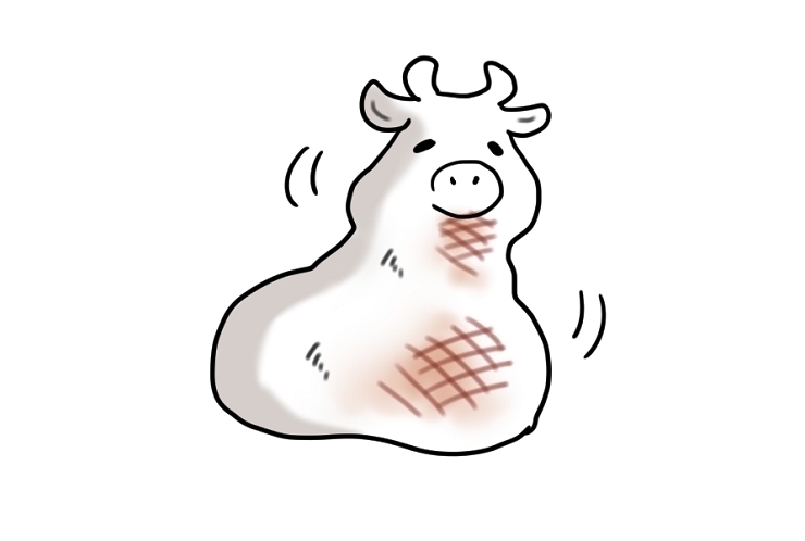 本日は大学入学共通テスト