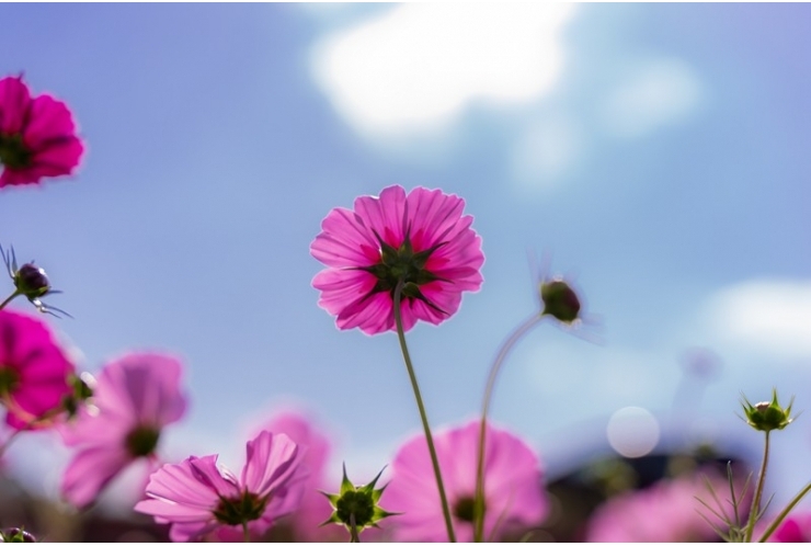 【祝】高校生の特進コース変更！