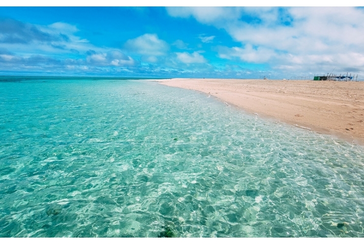 ニュースに取り上げられました！