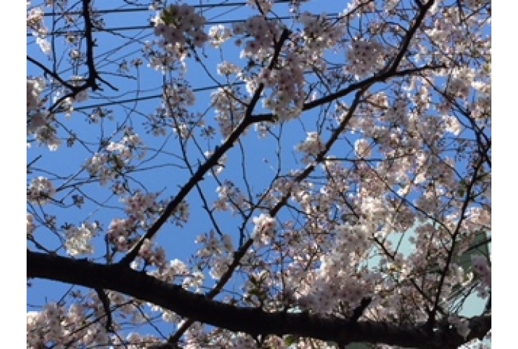 【合格速報】都立神代高校合格Eくん　あの倍率をよく戦い抜いた！