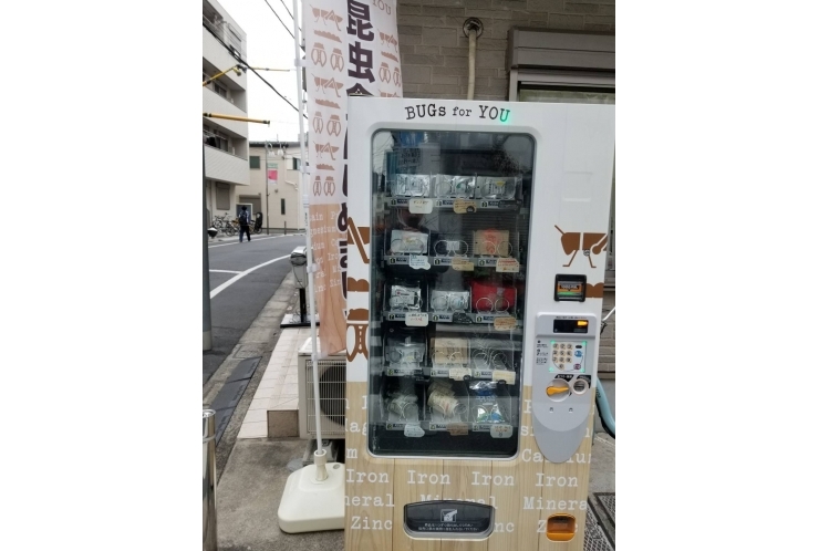 昆虫食べれますか？