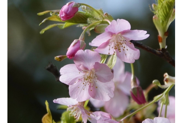 ご卒業おめでとうございます！！！