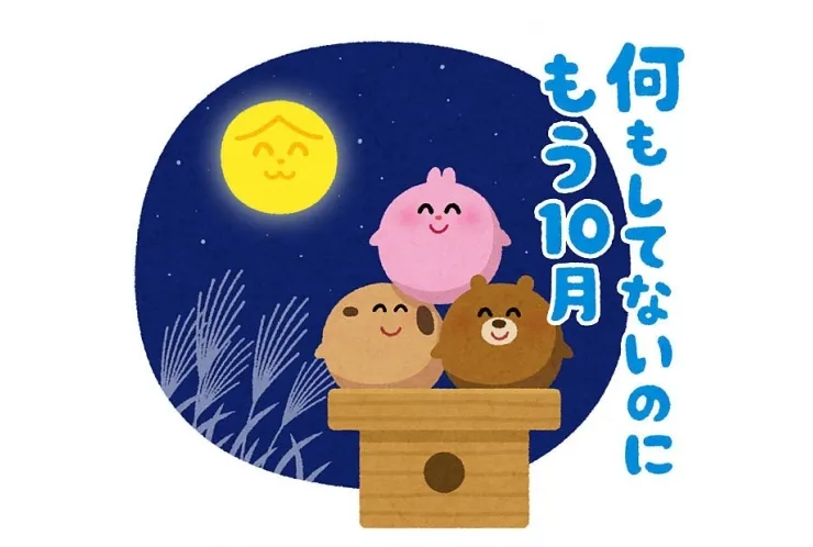 半年後に使わなくてすむように