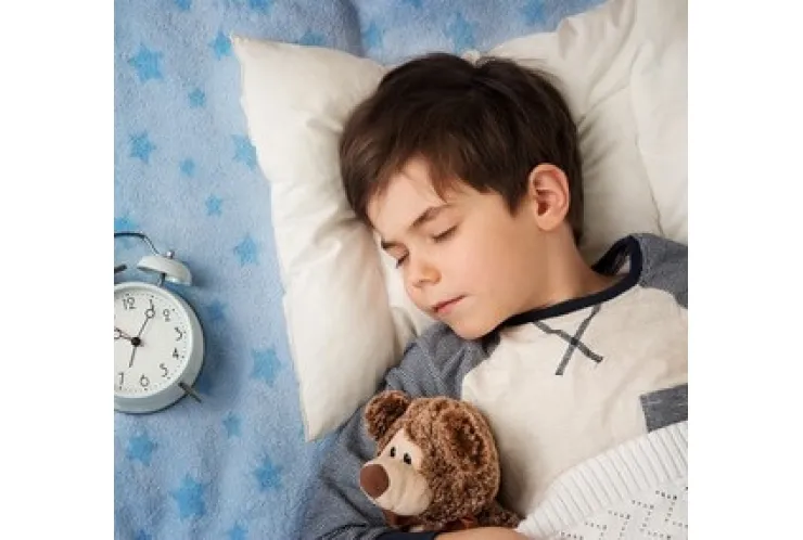 小学校高学年から始める中学準備