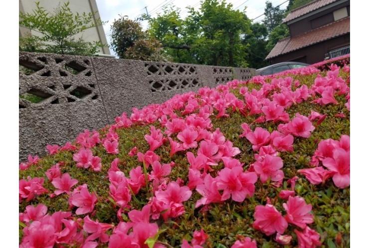 英才式！春のスタートダッシュ！