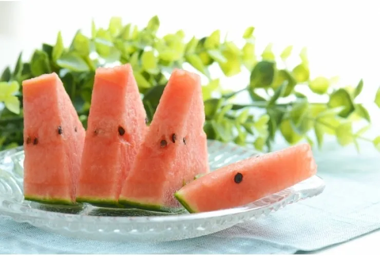 夏休みの自由研究について！
