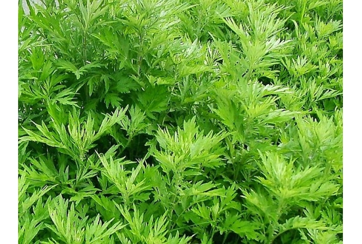 ダメなのはあなたではない。〇〇である！