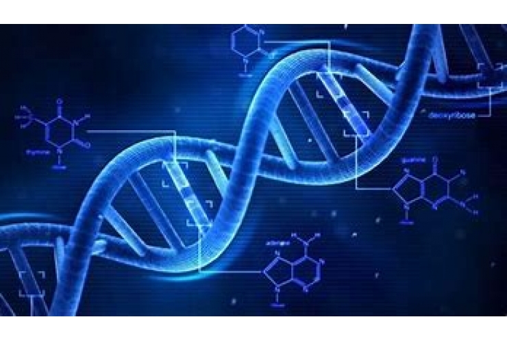 DNAって結局なに？  個別指導　英才個別学院　立会川校