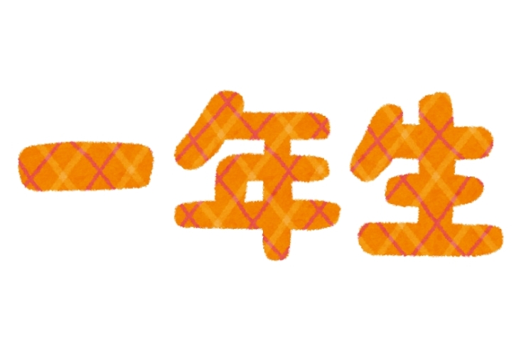 北中テスト前特別号～中1英語編～