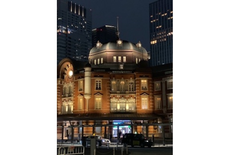 【講師ブログ①】増田先生が語る「ゾウとヒトの共通点」