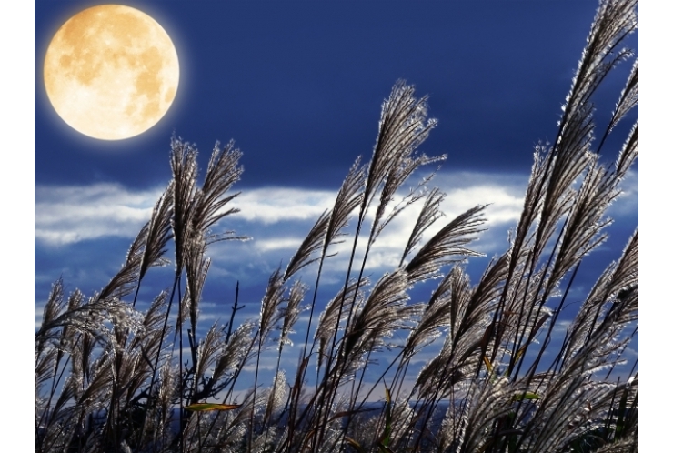 10月は大事な月です②