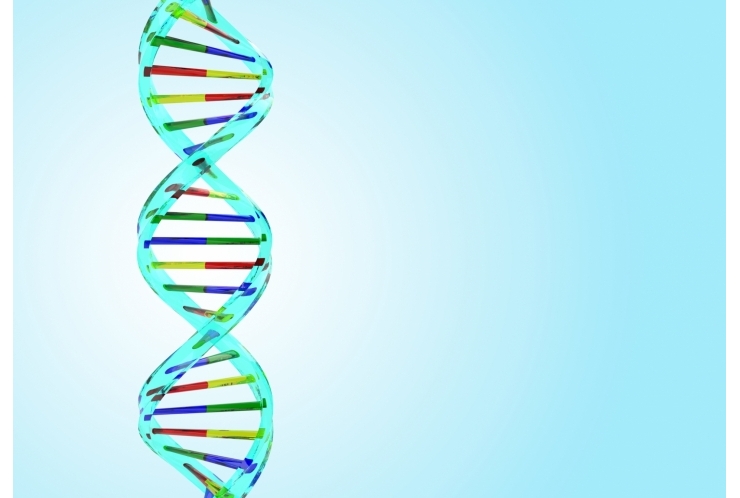 親から遺伝されるものはなにか？ 個別指導　英才個別学院　立会川校