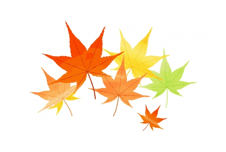 秋休みのお知らせ