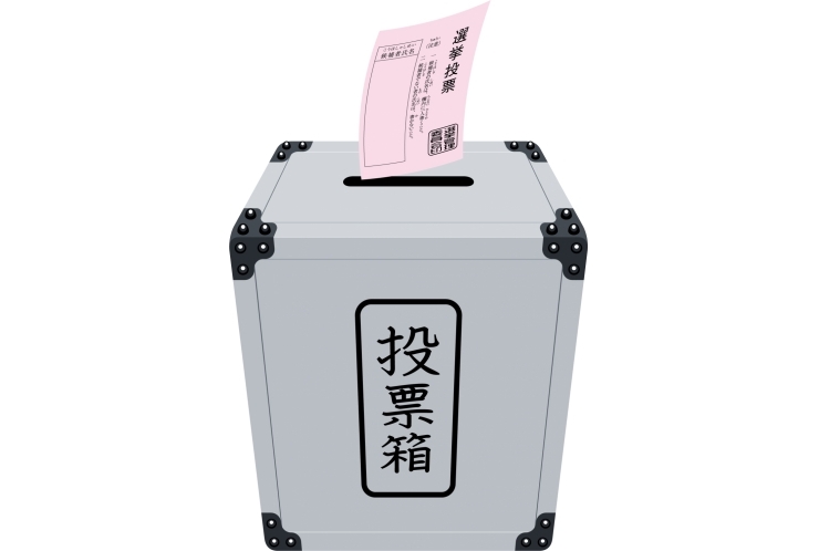 社会科の勉強に役立つので選挙に注目！