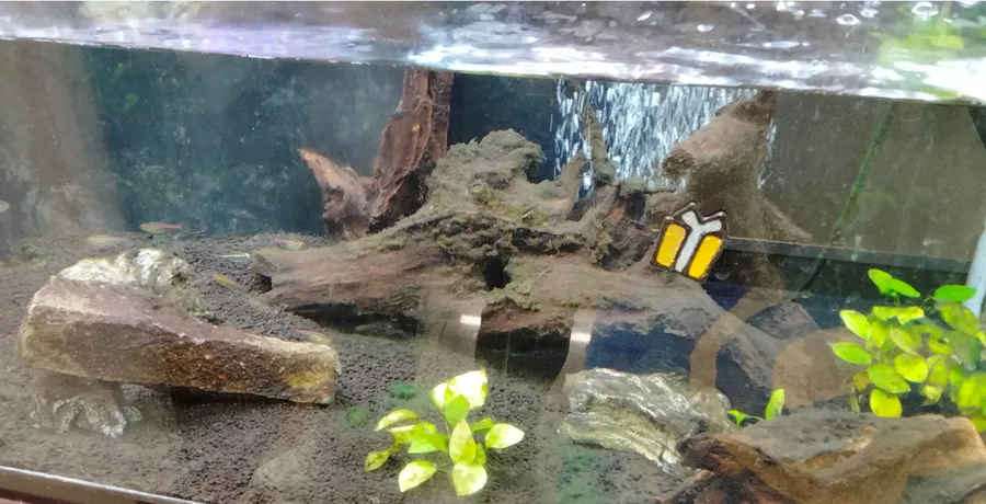 水槽がきれいになりました！