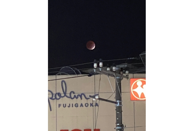 月食、見ましたか？？