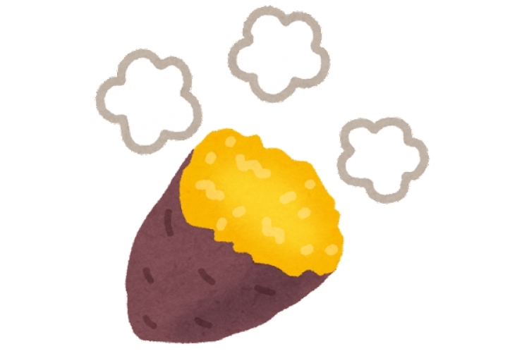 １１月も終わってしまいます！！