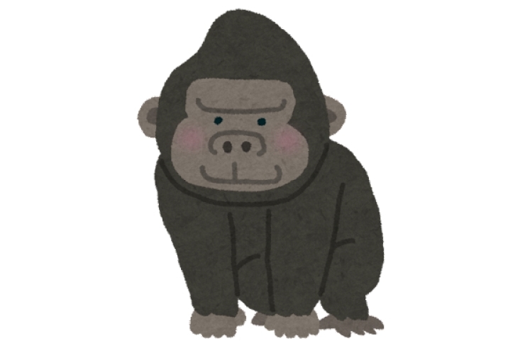 ○×クイズやってみませんか？