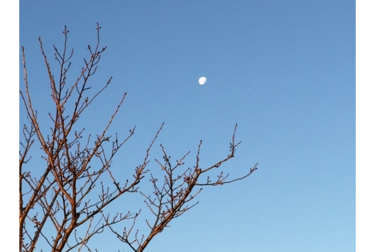 【合格速報】早稲田大学　創造理工学部！