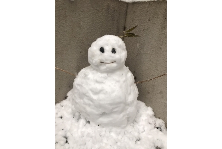 雪ですね～