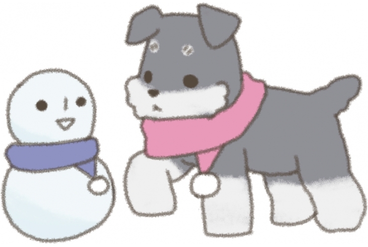 雪ですね！