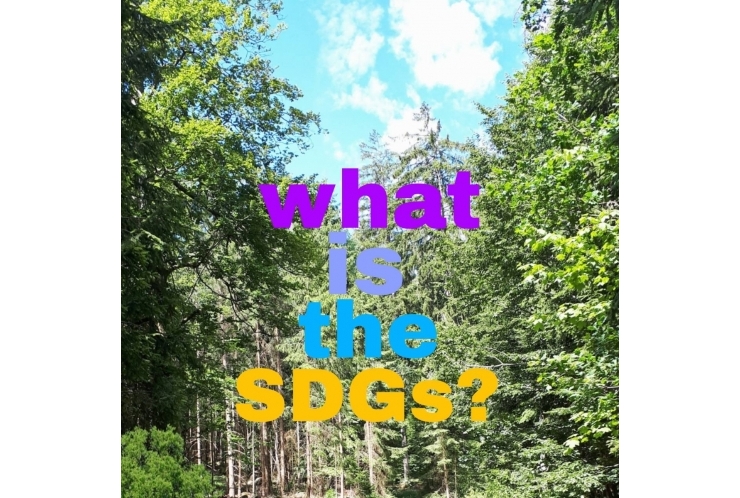 SDGs（持続可能な開発目標）とはどんなもの？<導入編>  個別指導　英才個別学院　立会川校