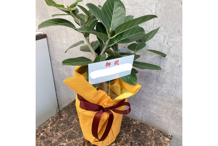 開校2日目、テストまであと2日。