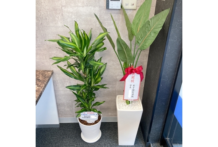 中和田中の保護者様へ