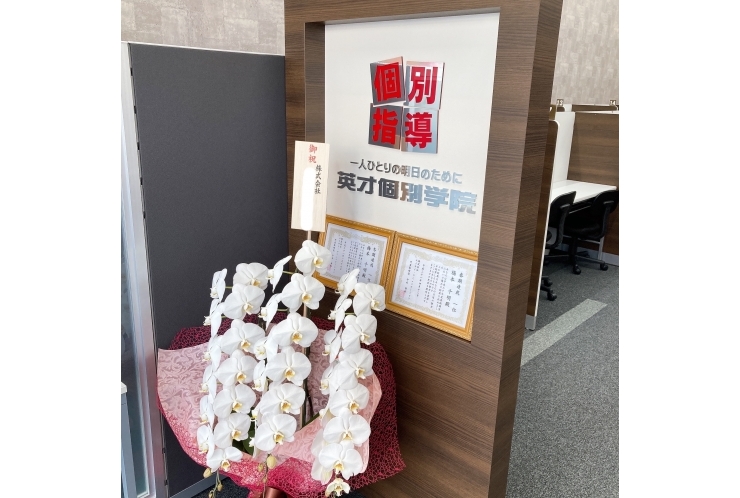 中和田中テスト1日目！と、今日は胡蝶蘭。