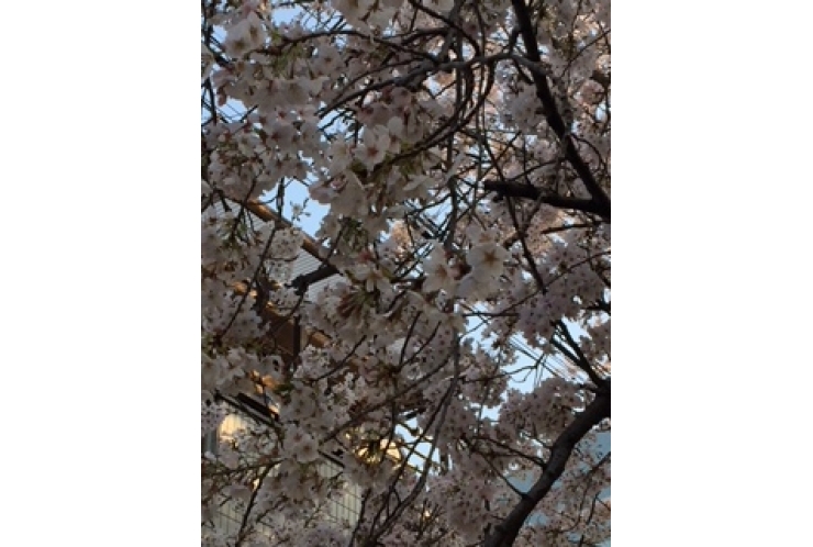 【合格速報】都立第一商業高校