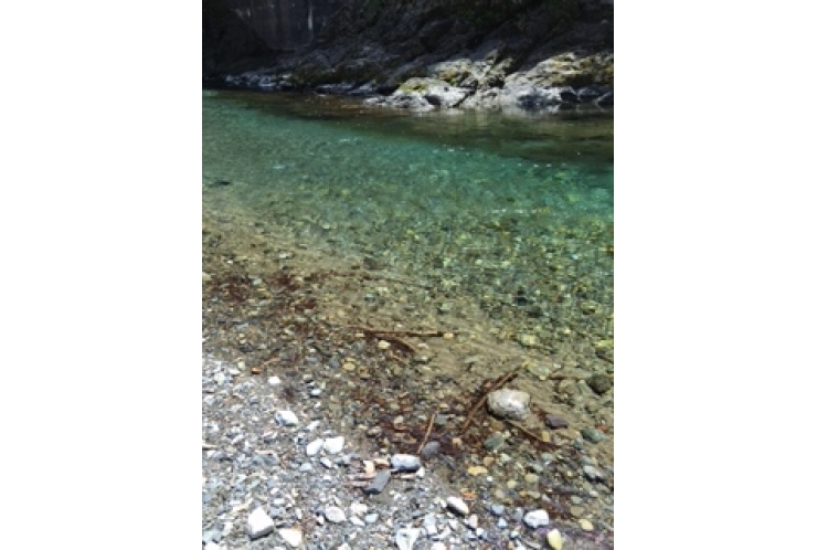 【SDGｓな数字たち⑤】9か国