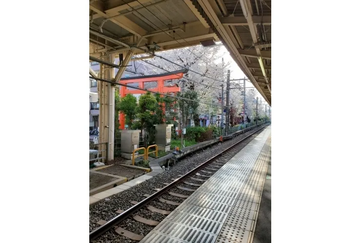 【明日は卒業式！！】