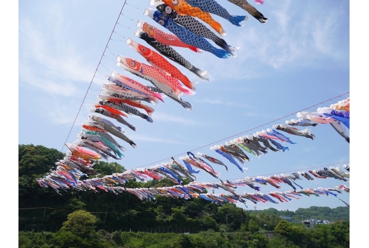 端午の節句の起源とは？ 個別指導　英才個別学院　立会川校