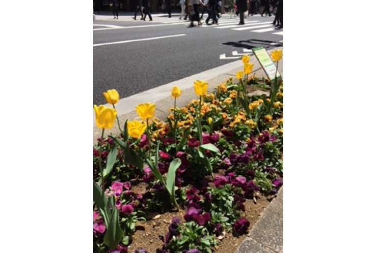 【SDGsな数字たち⑥】50年