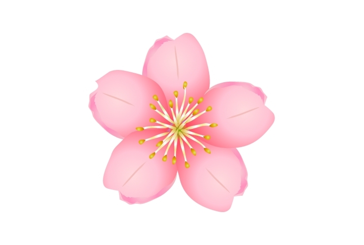 新学年のスタートを決めるために！