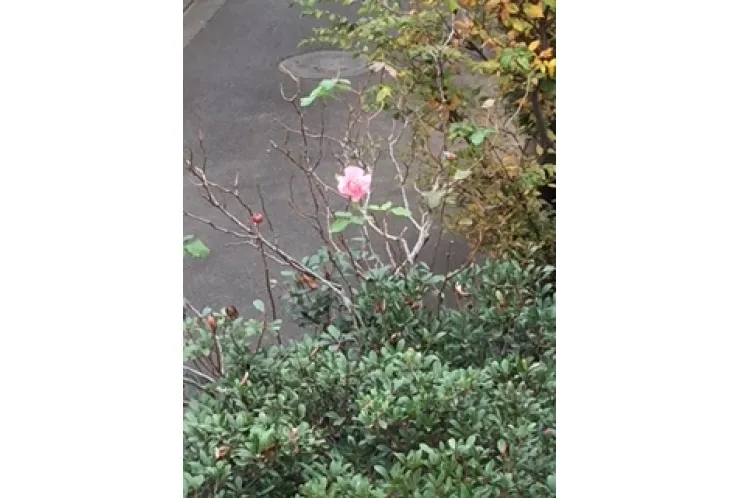 名前に込められた想い 貴 琴 敬 課外授業